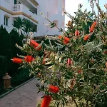 Διαμέρισμα Casa Jilou